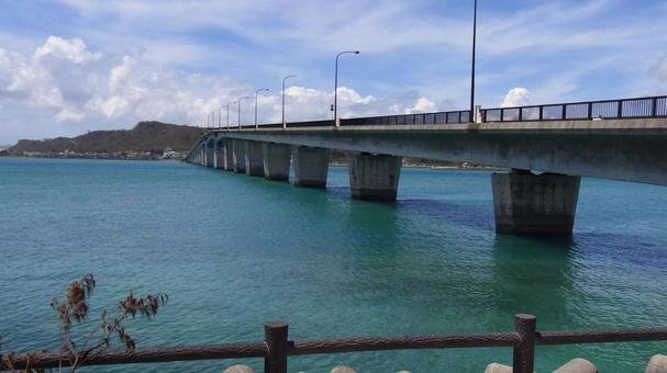 🏞️ 하마 어항 녹지 공원 (하마교코 료쿠치 코엔) 이미지 6